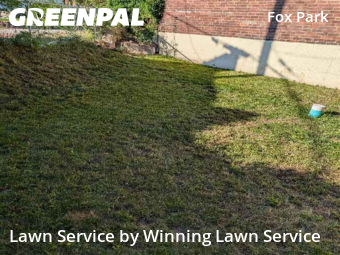 Lawn Mow nearby St. Louis, MO, 