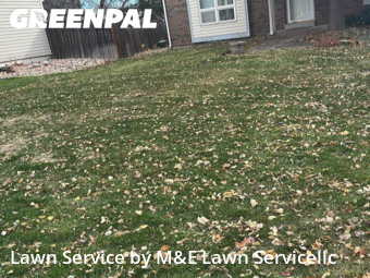 Backyard Mowing in Centennial, 80015, Lawn Cutting by M&E Lawn Servicellc, work completed in Nov , 2025