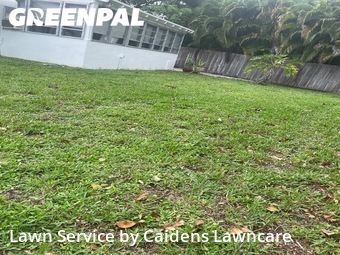 Lawn mowed in Delray Beach, 33444