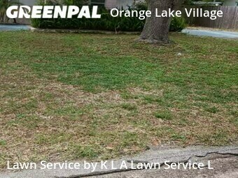 Grass Cutting nearby Largo, FL, 