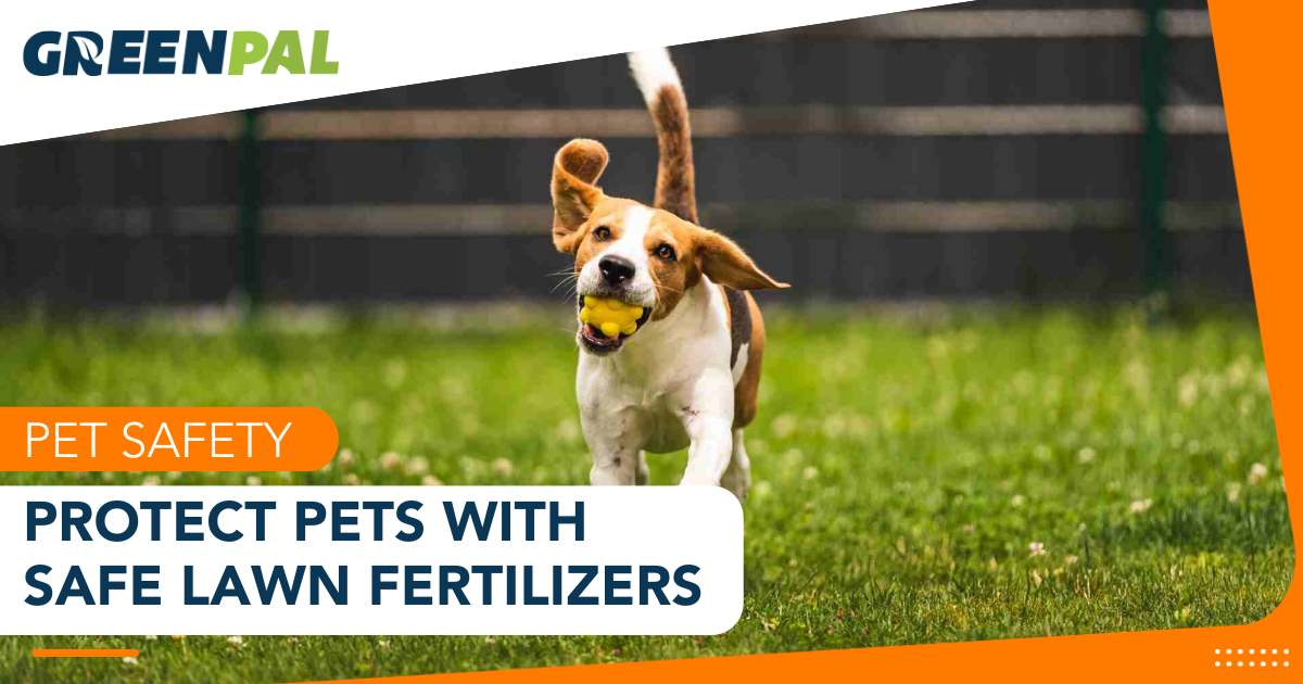 Image showcasing Protecting Your Pet: The Importance of Pet Safe Lawn Fertilizers
