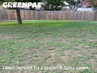 Lawn Care nearby Converse, TX, 