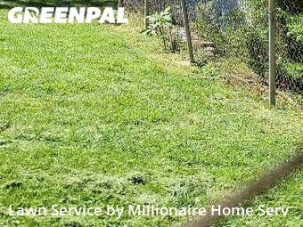 Grass Cut nearby Woodbridge, VA, 