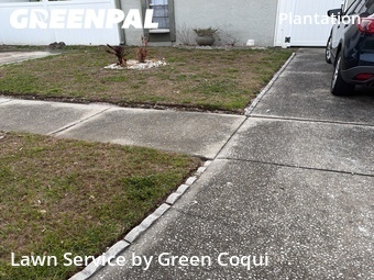 Yard Cutting nearby Tampa, FL, 