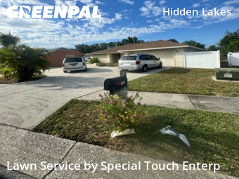 Lawn Cutin Palm Harbor,34683,Lawn Mowing by Special Touch Enterp, work completed in Nov , 2025