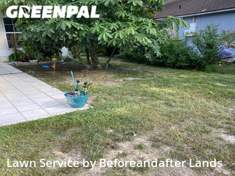 Yard Cutting nearby Clermont, FL, 