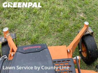 Lawn Cut nearby Arlington, TN, 
