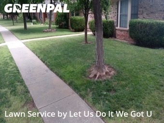 Lawn Mow nearby Amarillo, TX, 