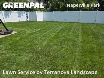 Grass Cut nearby Naperville, IL, 