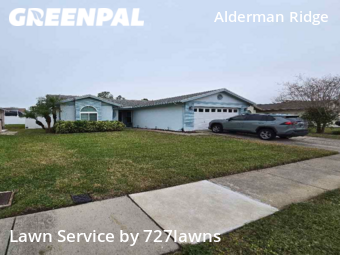 Lawn Mowing Service nearby Palm Harbor, FL, 