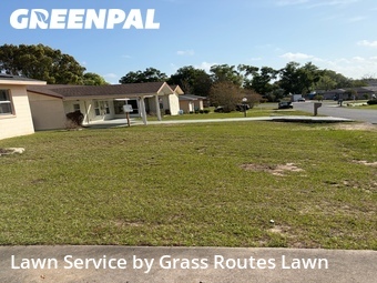 Yard Cutting nearby Silver Springs, FL, 