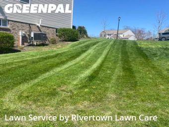 Lawn Mowing nearby Beaver, PA, 