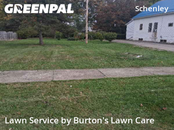 Lawn Work in Youngstown, 44509, Yard Care Services by Burton's Lawn Care, work completed in Nov , 2025