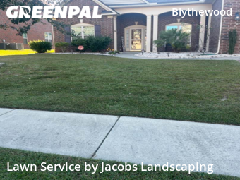 Grass Cut nearby Columbia, SC, 