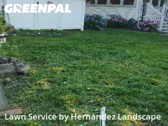 Yard Mowing nearby Ridley Park, PA, 