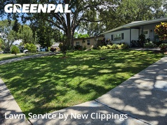 Lawn Care nearby Clearwater, FL, 