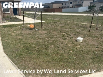 Yard Mowing nearby New Braunfels, TX, 