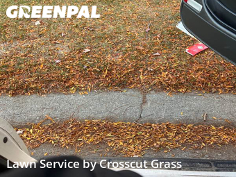 Lawn Cut nearby Rochester, MI, 