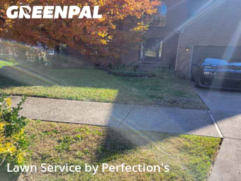Backyard Mowing in Louisville, 40229, Weekly Mowing by Perfection's, work completed in Nov , 2025