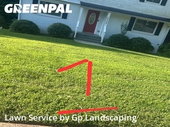Grass Cut nearby Gastonia, NC, 