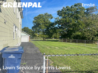 Lawn Cut nearby Buffalo, NY, 