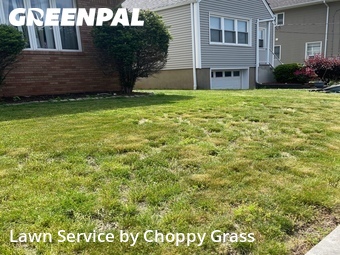 Grass Cut nearby Lodi, NJ, 