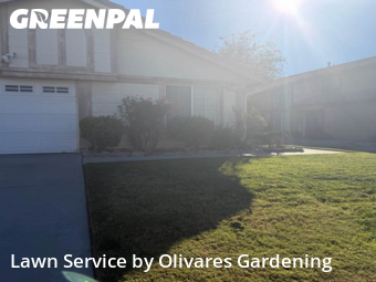Lawn Mowing Servicein Lancaster,93535,Grass Cutting by Olivares Gardening , work completed in Dec , 2025