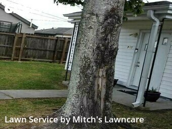 Lawn Maintenance nearby Gretna, LA, 
