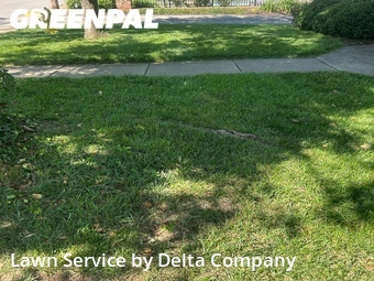 Lawn mowed in Bowling Green, 42104