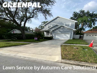 Grass Cut nearby Tampa, FL, 