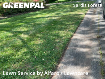 Lawn Care nearby Charlotte, NC, 