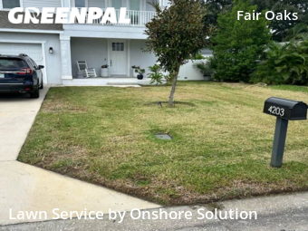 Grass Cutting nearby Tampa, FL, 