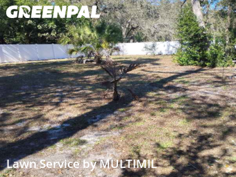 Lawn mowed in Temple Terrace, 33617