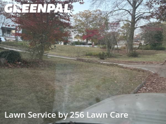 Grass Cutting nearby Anniston, AL, 