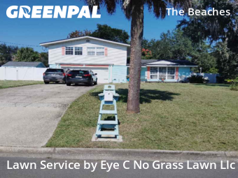 Grass Cutin Jacksonville Beach,32250,Yard Mowing by Eye C No Grass Lawn Llc, work completed in Dec , 2025