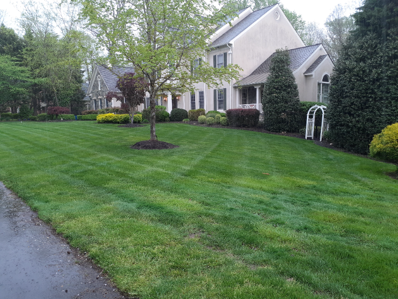 Lawn Mowing Contractor in Chantilly, VA, 20151