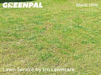 Yard Mowing nearby Grand Rapids, MI, 