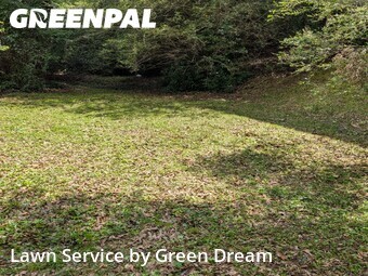 Lawn mowed in Anniston, 36207
