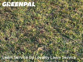 Lawn Cutting nearby Fort Pierce, FL, 