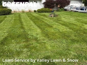 Lawn Mow nearby Syracuse, NY, 