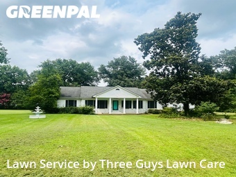 Lawn Mow nearby Millington, TN, 