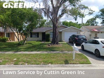 Lawn Service nearby Citrus Park, FL, 