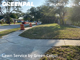 Lawn Service nearby Palm Harbor, FL, 