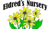 Best Nursery in Killeen Texas 4