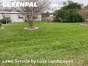Grass Cut nearby Montverde, FL, 