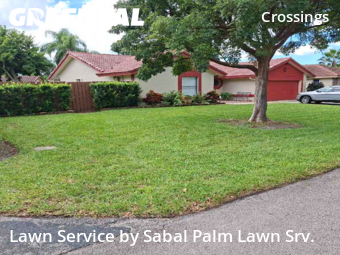 Turf Services in Coral Springs, 33065, Lawn Services by Sabal Palm Lawn Srv., work completed in Nov , 2025