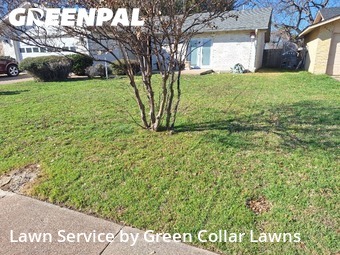 Lawn Cutting nearby Grand Prairie, TX, 