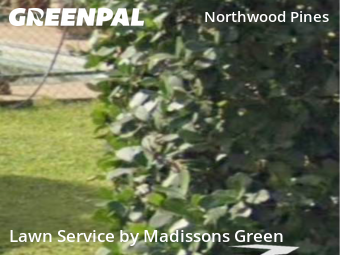 Lawn Cutting nearby West Palm Beach, FL, 