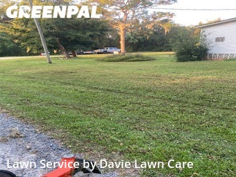 Lawn Cutting nearby Lady Lake, FL, 