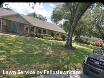 Grass Cut nearby Lakeland, FL, 